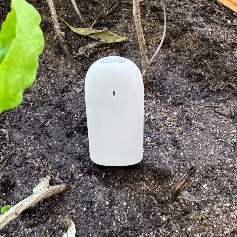 Plant & Flower Smart Sensors actual