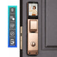FaceRecSmartLockPro- Gold