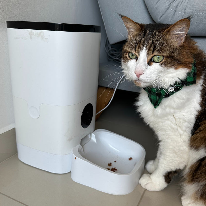 Actual Smart Pet Feeder Camera